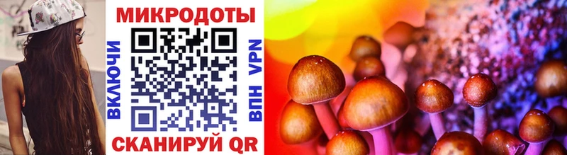 где можно купить   Королёв  Псилоцибиновые грибы мицелий 