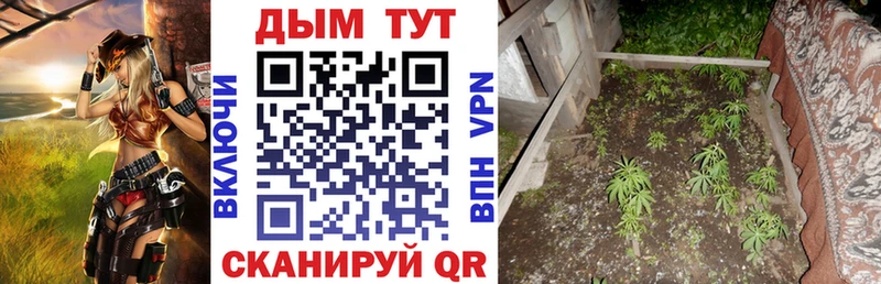 Конопля тримм  сколько стоит  Королёв 